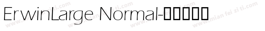 ErwinLarge Normal字体转换